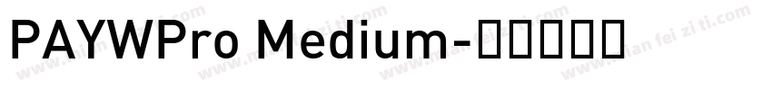 PAYWPro Medium字体转换